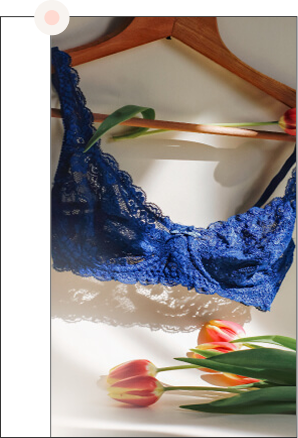 Plunge Bras